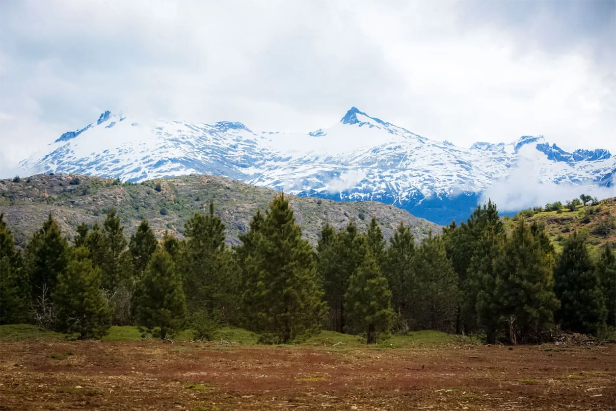 04parcela-bosque-nativo-patagonia-baker